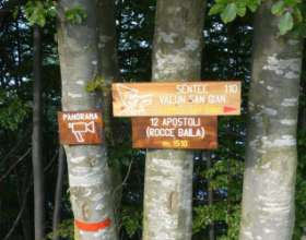 sentee-valun-san-gian-cartelli-mini